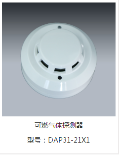 DAP31-21X1独立式可燃气体探测器